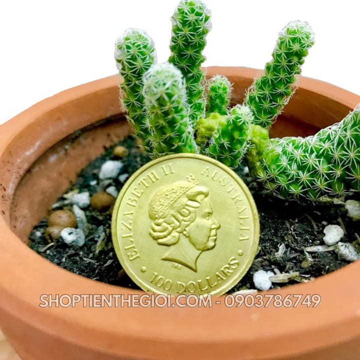 Xu lưu niệm 100 dollars Úc - SP005599